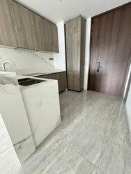 Leedon Green (D10), Condominium #457021071